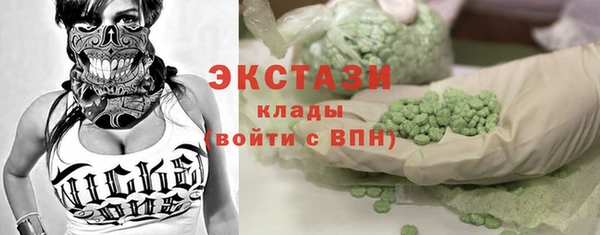 индика Арсеньев