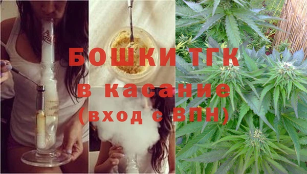 бошки Аркадак