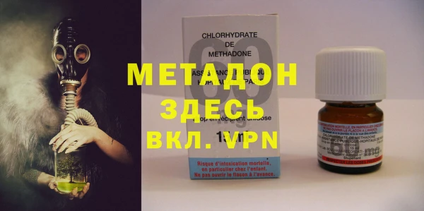 индика Арсеньев