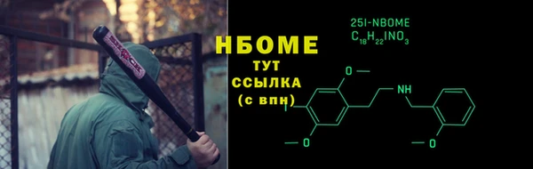 индика Арсеньев