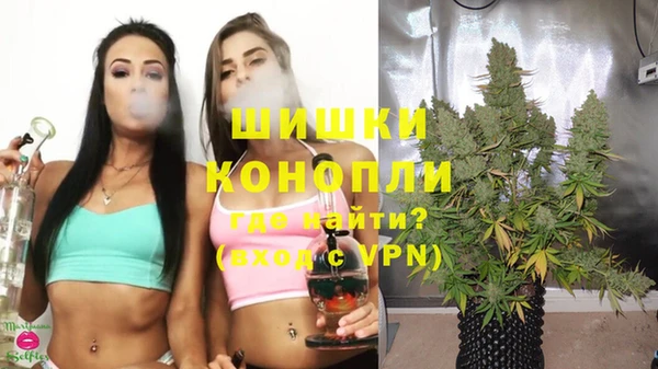 индика Арсеньев