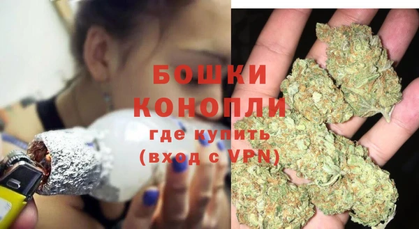 индика Арсеньев