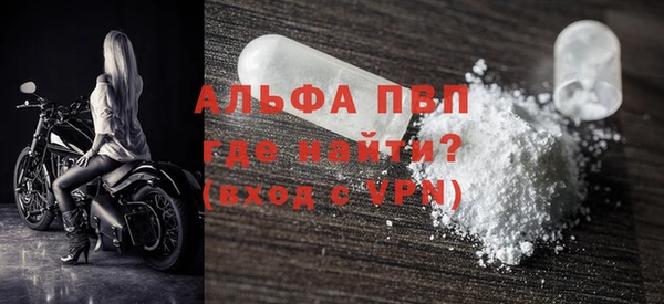 индика Арсеньев