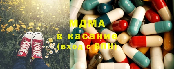 индика Арсеньев