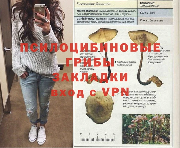 индика Арсеньев